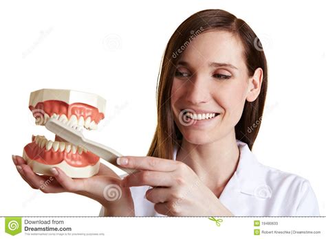 El Dentista Explica La Técnica Para Imagen De Archivo Imagen De