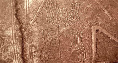 Nazca Lines Svg