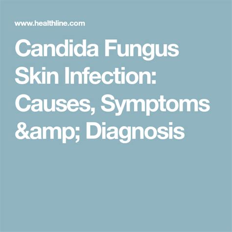 Candida Fungus Skin Infection Causes Symptoms And Diagnosis Candida