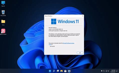 Download Windows 11 Pro Lite