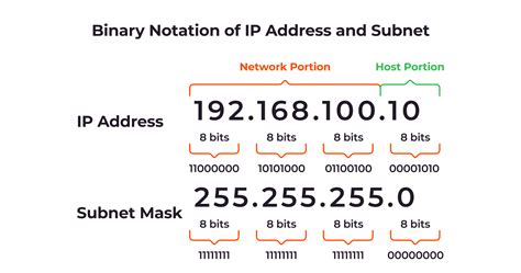 What Is Subnet Mask Tcp Ip Addressing And Subnetting Basics The Best Porn Website