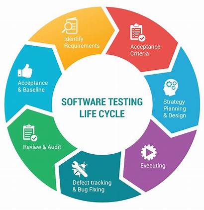 Testing Software Lifecycle Platforms Testers Crowd Safe