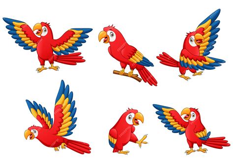 Premium Vector Set Of Funny Parrot Cartoon Illustration