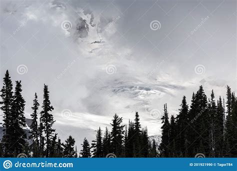 Mysterious Face In Snowy Mountains Mount Rainier National Park