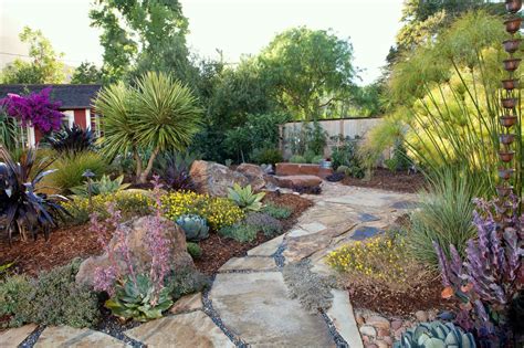Image Result For Drought Tolerant Plants For Sacramento Area Backyard