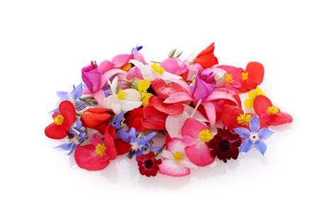 From the ancient and beautiful italian island of sicily emerged a variety of distinguished names, including the notable surname flori. Mix flori comestibile — GoVeggie