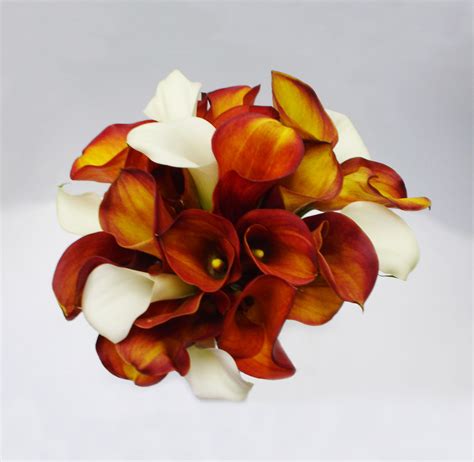 Orange Calla Lily Bouquet In San Jose Ca Valley Florist