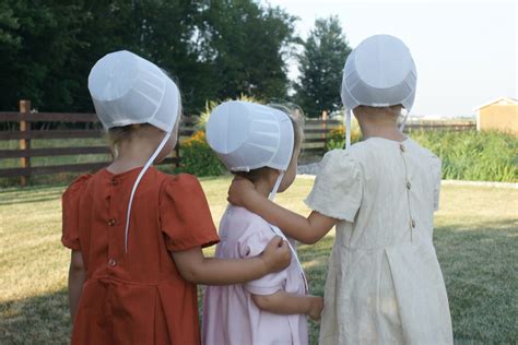 Discover The Fascinating World Of The Amish In Northern Indiana Nitdc