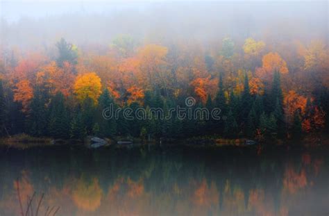 Autumn Tree Reflections In The Lake With Morning Mist Stock Photo