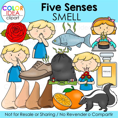 Smells Cartoon Clip Art Library