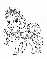 Pony Coloring Pets Royal sketch template