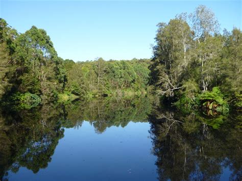 A Body Of Water Surrounded By Lots Of Trees And Bushes On Both Sides Of It