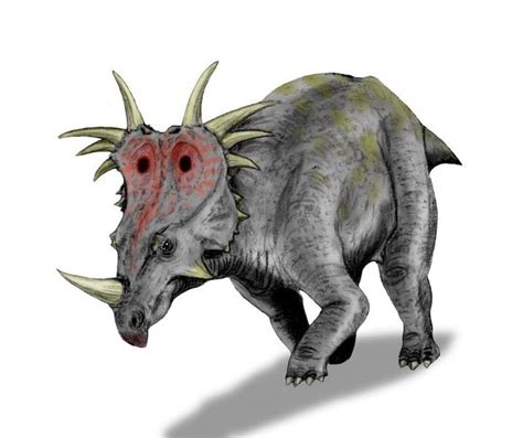 Dinoblog Styracosaurus