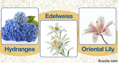 Enchanting And Exotic Flower Names With Unique Meanings
