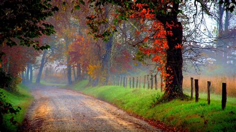 Country Road In Morning Fog Hd Hd Wallpaper