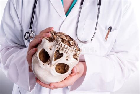 Doctor Holding A Skull In His Hands Stock Photo Image Of Occupation