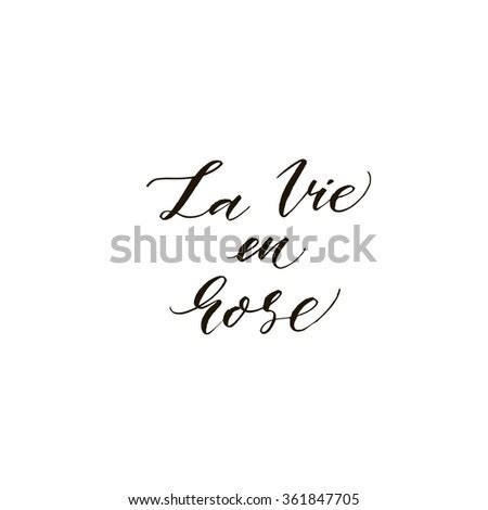 It would more accurately be translated to mean rose coloured glasses, referring to someone who views things in a romantic or unrealistic way. La Vie En Rose Phrase Life Stock Vector 361847705 ...