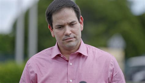 Rubio Slams New York Times For Misleading Headline About Nikki Haleys Curtains Washington