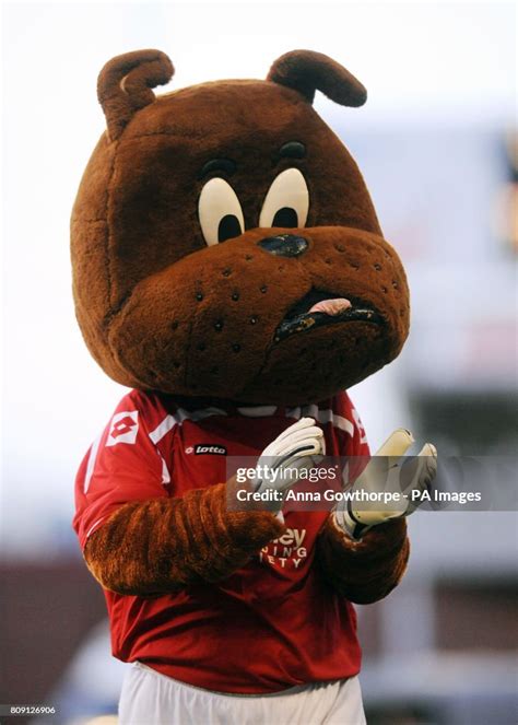 Barnsley Fc Mascot Toby Tyke During The Npower Championship Match At