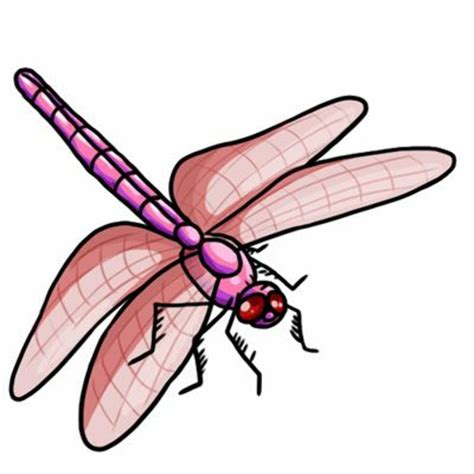 Download High Quality Insect Clipart Dragonfly Transparent Png Images