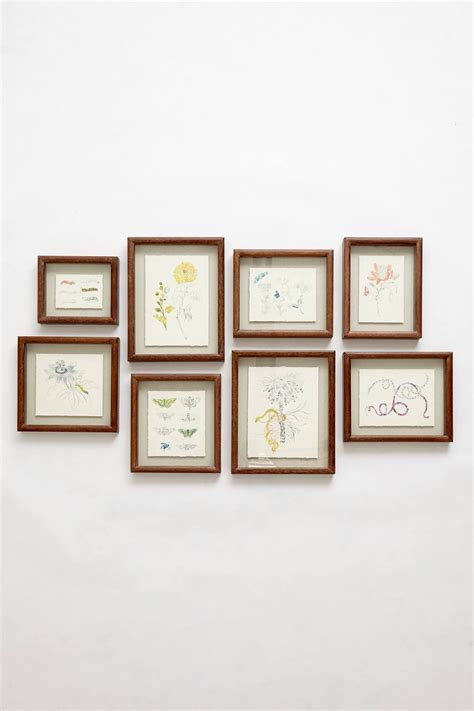 Flora & Fauna Framed Print | Picture hanging, Framed prints, Framed art
