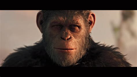 Planet Of The Apes Villains Wallpapers Wallpaper Cave