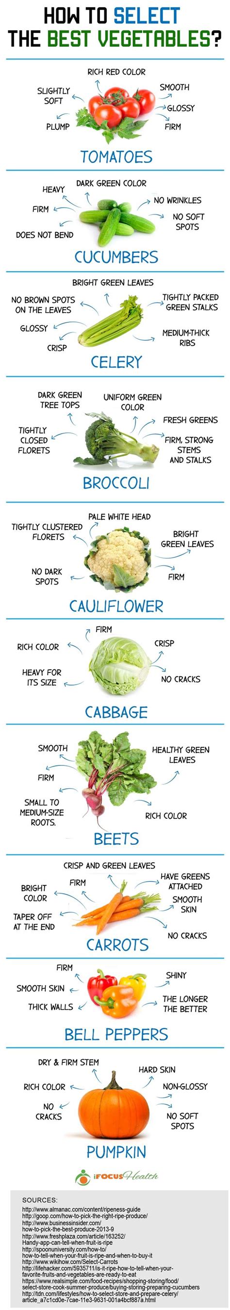 Your Guide To Seasonal Produce Latest Infographics