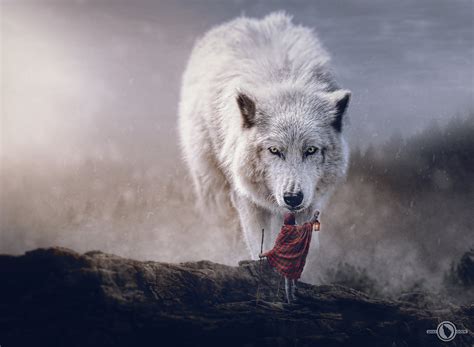 Iphone 1080p Wolf Wallpaper Hd | Mister Wallpapers
