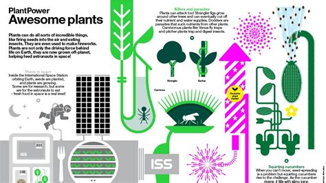 Awesome Plants Poster Science And Plants For Schools
