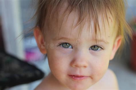 149 Little Girl Tousled Hair Stock Photos Free And Royalty Free Stock