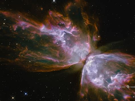 Butterfly Nebula Aka Ngc 6302 And Bug Nebula Hubble Space Telescope
