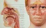 Ethmoid Sinusitis Treatment Images