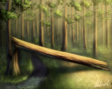 Peaceful Forest By Nalciel On Deviantart