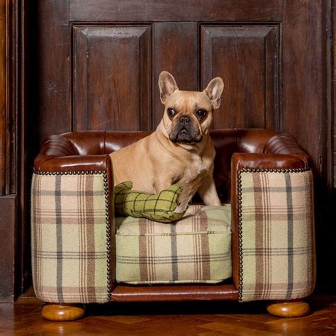 Best Dog Beds For French Bulldogs Cool Dog Beds French Bulldog