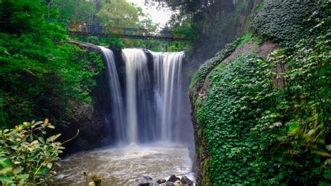 Karena air terjun ini terletak di dasar sebuah jurang, maka anda harus menuruni setidaknya 509 buah anak tangga untuk mencapainya. Mengunjungi Curug Maribaya, Lokasi Wisata Alam Populer di ...