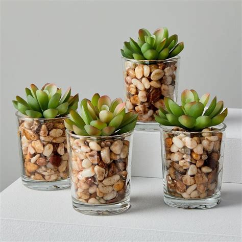 Faux Botanicals Potted Mini Succulents West Elm Australia