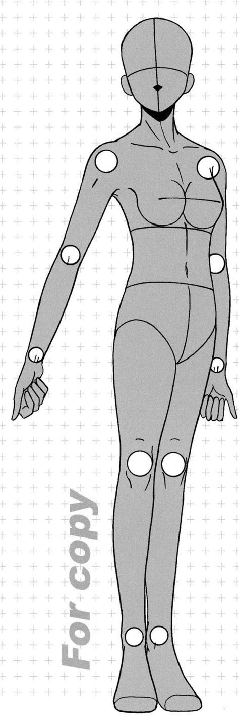 Woman Body Drawing Base Female Body Base Lineart 2 By