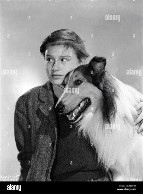 Released Dec 07 1943 Original Film Title Lassie Come Home