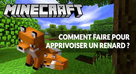 Guide Minecraft 1.14 comment faire pour apprivoiser un renard