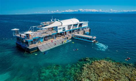 Outer Great Barrier Reef Pontoon Tour Experience Oz