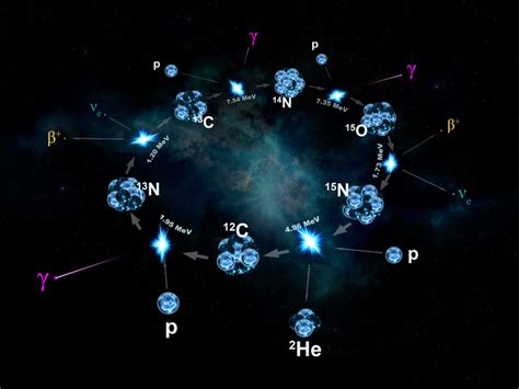 C4 carbon fixation pathway in the largest biology dictionary online. Dark Reaction carbon fixation Calvin cycle Regeneration of ...