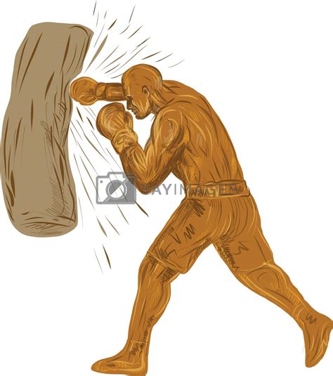 Boxer Punching Bag Dwg By Patrimonio Vectors And Illustrations Free