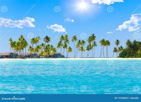 Palm Trees On Tropical Island At Ocean Maldives Stock Image Image Of