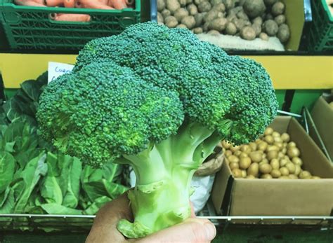 Why You Should Eat Broccoli Every Day Catherine Arnold Nutrition