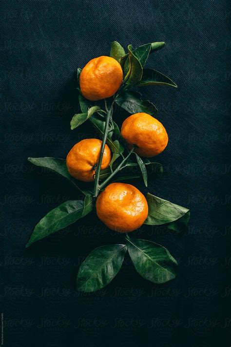 Four Tangerines By Stocksy Contributor Marija Savic Fruit