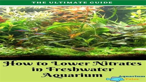 How To Get Nitrates Down In Aquarium Pro Tips By Fishlore