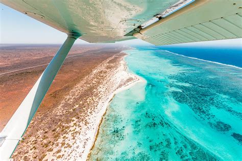 Scuba Diving In Ningaloo Exmouth And Coral Bay Zublu