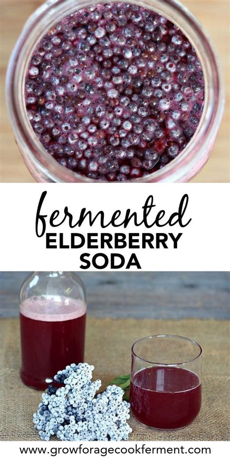 Fermented Elderberry Soda With Ginger And Honey Recipe