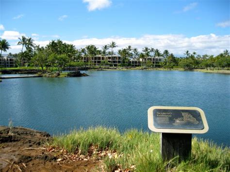 Discover Seven Ancient Fishponds And Other Coastal Gems In Hawaiis