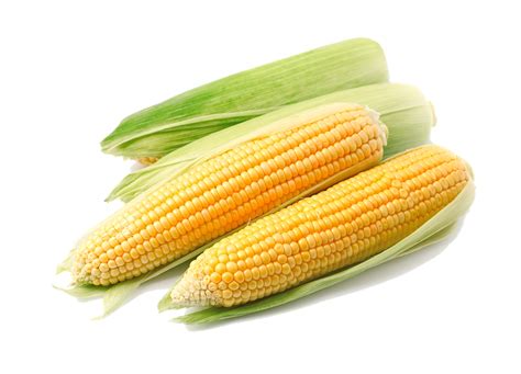 Free Corn Transparent Download Free Corn Transparent Png Images Free Cliparts On Clipart Library